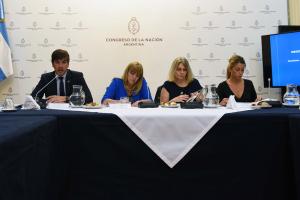 Mercosur - EU Agreement: Reyser met with deputies and senators in Congress