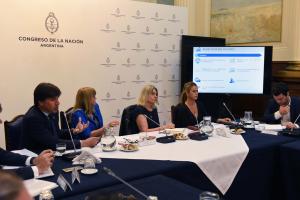 Mercosur - EU Agreement: Reyser met with deputies and senators in Congress